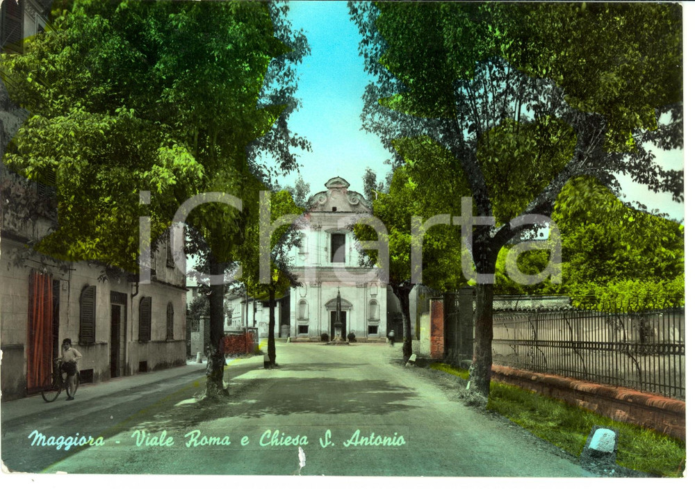 Cartolina originale da collezione 1955 MAGGIORA (NO) Veduta viale Roma e chiesa di SANT'ANTONIO *Cartolina FG VG 1