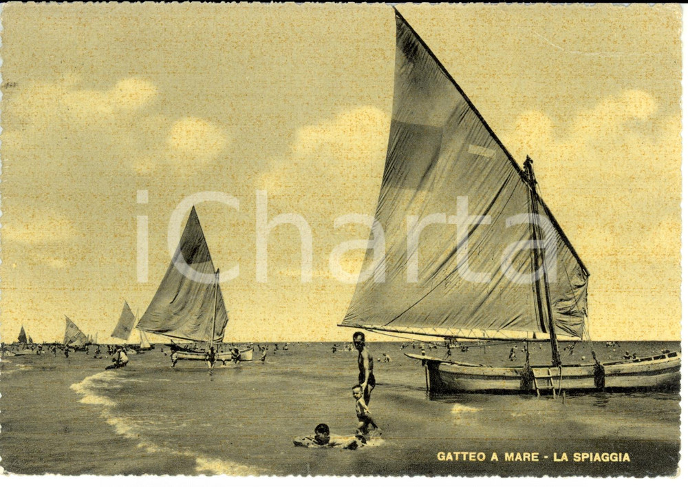 Cartolina originale da collezione 1953 GATTEO FC Frazione GATTEO MARE Veduta spiaggia con barche a vela FG VG 1