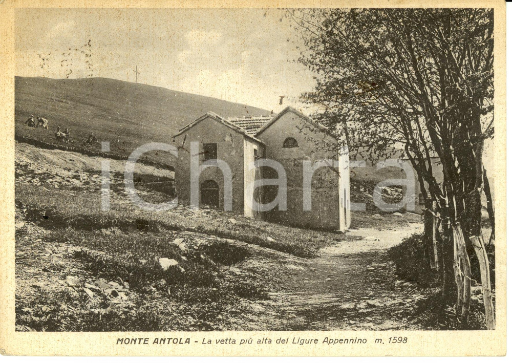 Cartolina originale da collezione 1954 TORRIGLIA GE MONTE ANTOLA La vetta piÃ¹ alta dell APPENNINO LIGURE 1