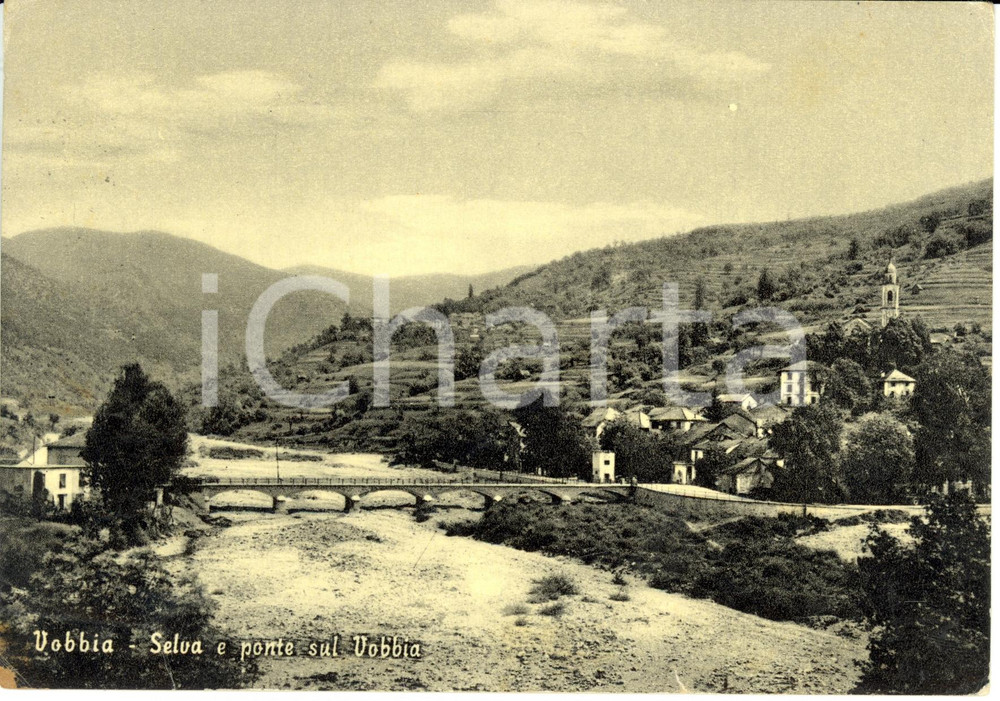 Cartolina originale da collezione 1957 VOBBIA (GE) Panorama con selva e ponte sul fiume *Cartolina FG VG 1