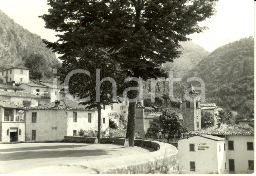Cartolina originale da collezione 1969 VILLA COLLEMANDINA LU Frazione CANIGIANO Panorama con pensione LA TORRE 1