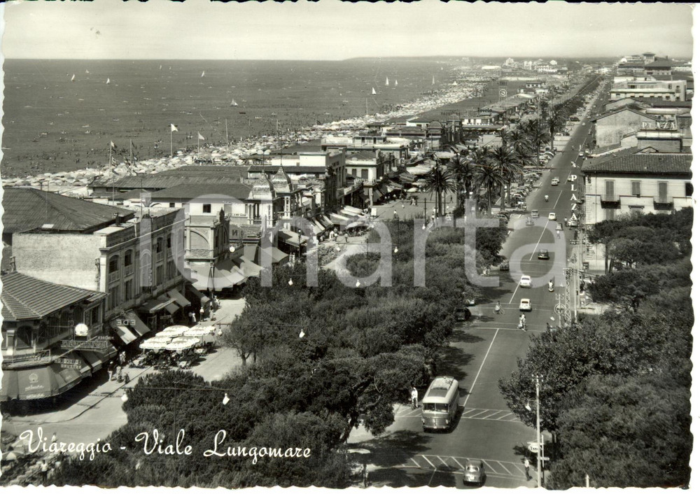 Cartolina originale da collezione 1959 VIAREGGIO LU Viale LUNGOMARE con BAR EDEN Cartolina FG VG 1