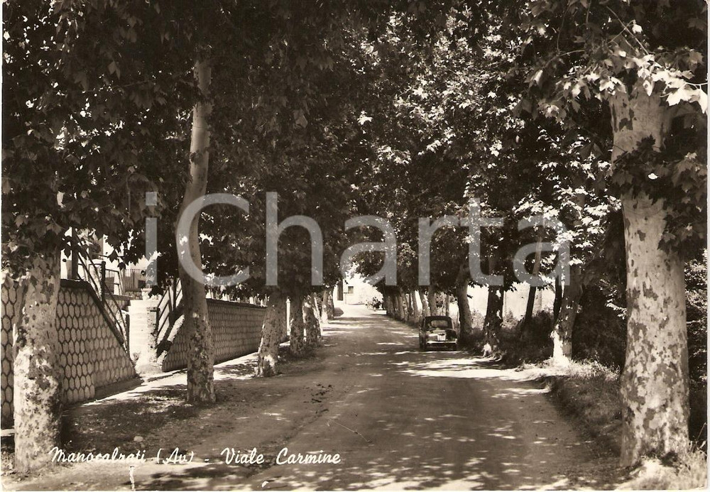 Cartolina originale da collezione 1964 MONOCALZATI AV Scorcio panoramico VIALE CARMINE Cartolina animata FG VG 1