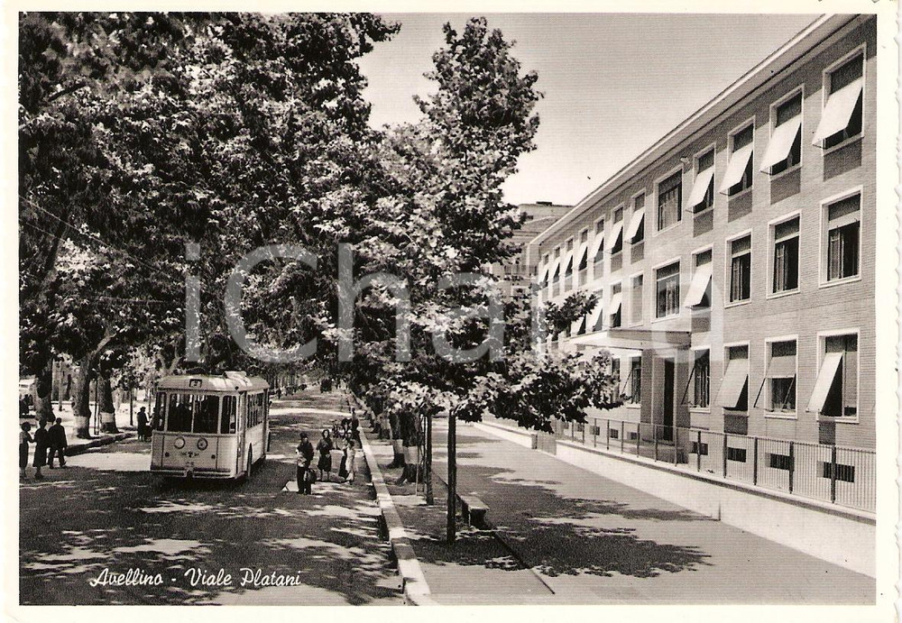 Cartolina originale da collezione 1950 circa AVELLINO Filobus in VIALE DEI PLATANI Cartolina animata FG VG 1