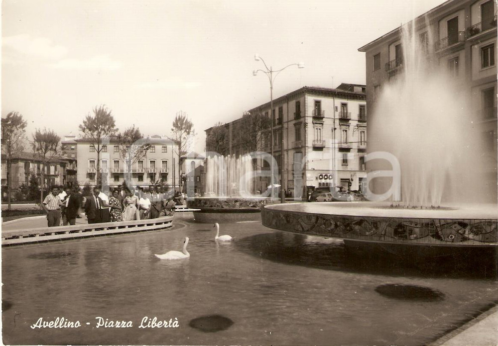 Cartolina originale da collezione 1960 ca AVELLINO Fontana con cigni in PIAZZA LIBERTA  Cartolina animata FG NV 1