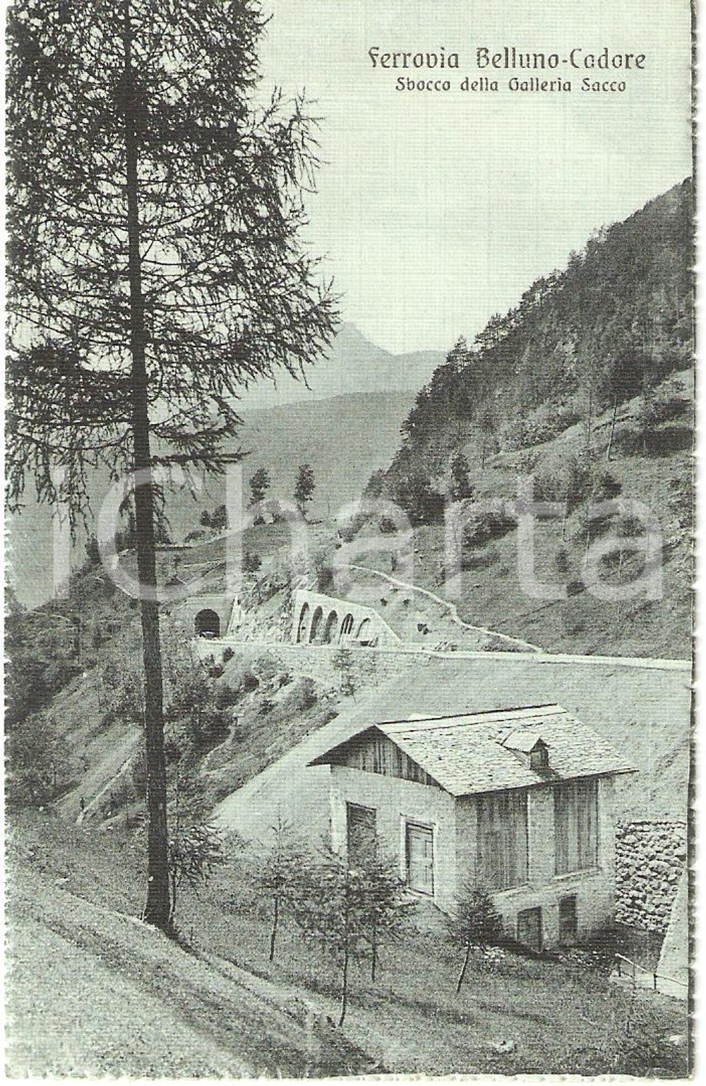 Cartolina originale da collezione 1930 ca FERROVIA BELLUNO - CALALZO DI CADORE Sbocco Galleria SACCO *Cartolina FP 1
