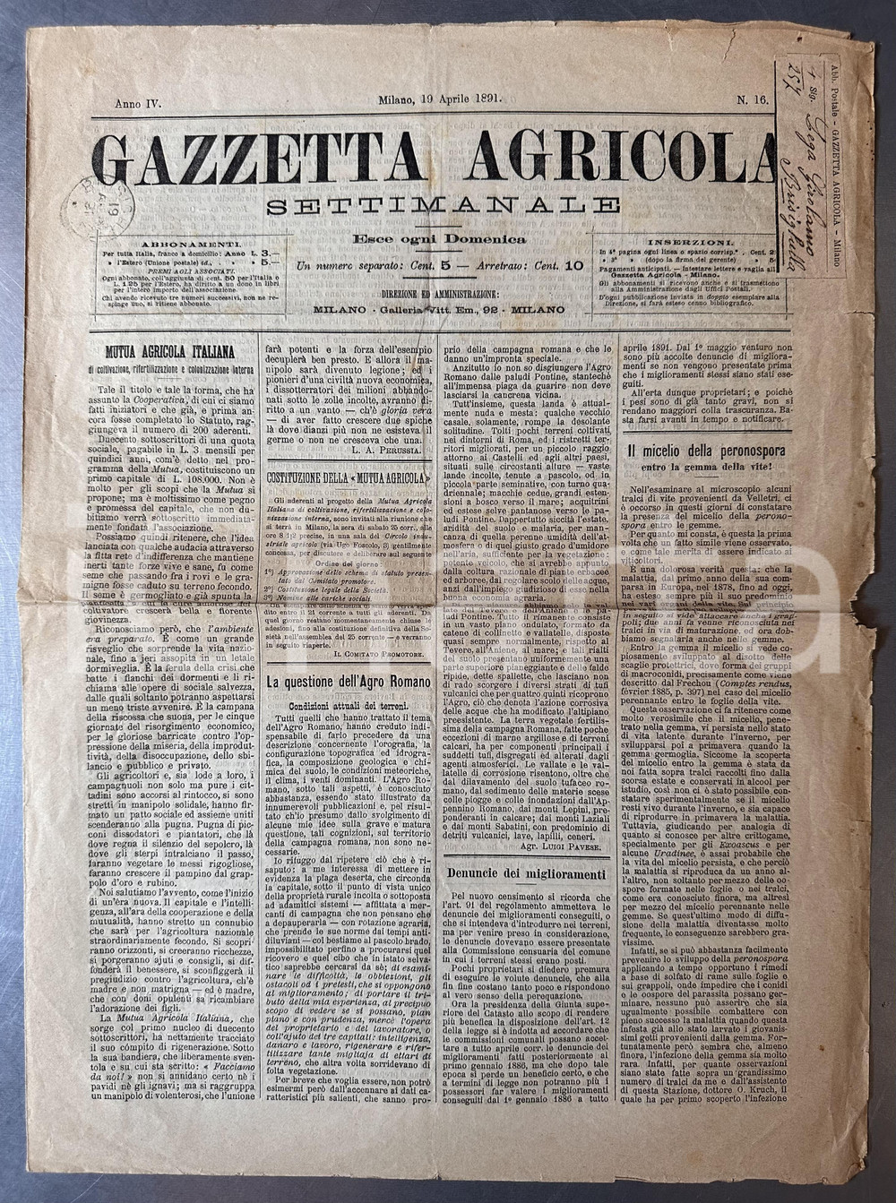 Giornale, rivista storica 1891 GAZZETTA AGRICOLA Costituzione Mutua Agricola Italiana *Giornale 1