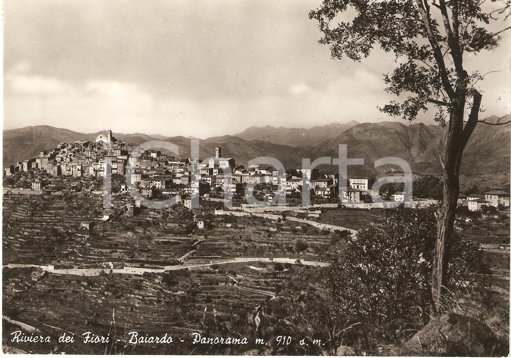 Cartolina originale da collezione 1958 BAJARDO (IM) Veduta panoramica Riviera dei Fiori *Cartolina FG VG 1