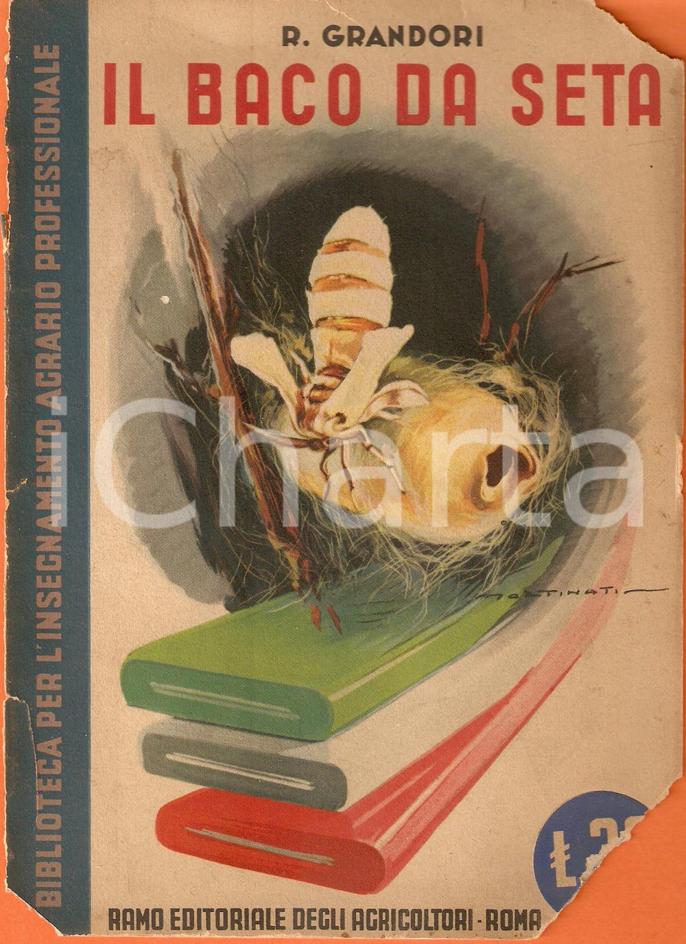 Libro, pubblicazione d'epoca 1941 Remo GRANDORI IL BACO DA SETA Ramo Editoriale Agricoltori DANNEGGIATO 1