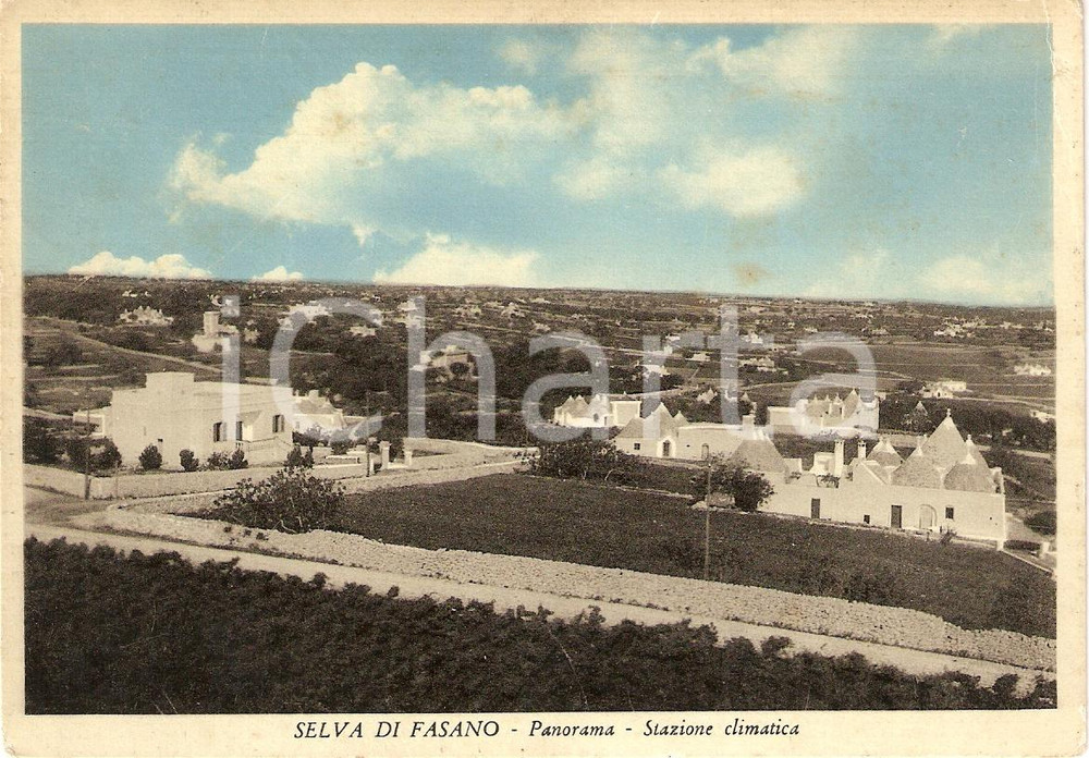 Cartolina originale da collezione 1955 SELVA DI FASANO (BR) Stazione climatica Veduta aerea *Cartolina FG VG 1