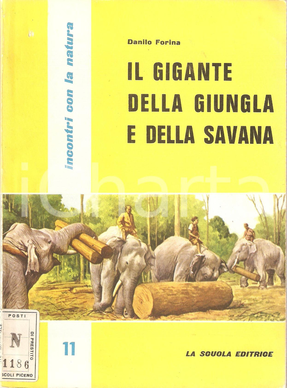 Libro, pubblicazione d'epoca 1961 INCONTRI CON LA NATURA 11 Danilo FORINA Gigante della Giungla e Savana 1