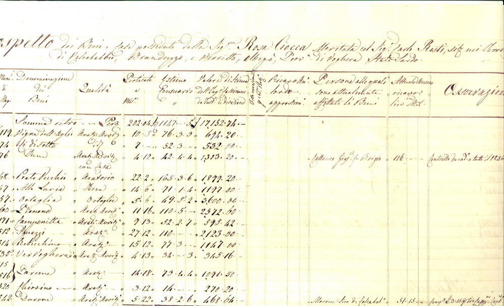 Documento originale, autentico 1830 ca LUNGAVILLA (PV) Beni e case possedute da Rosa CIOCCA ROSTI *Manoscritto 1