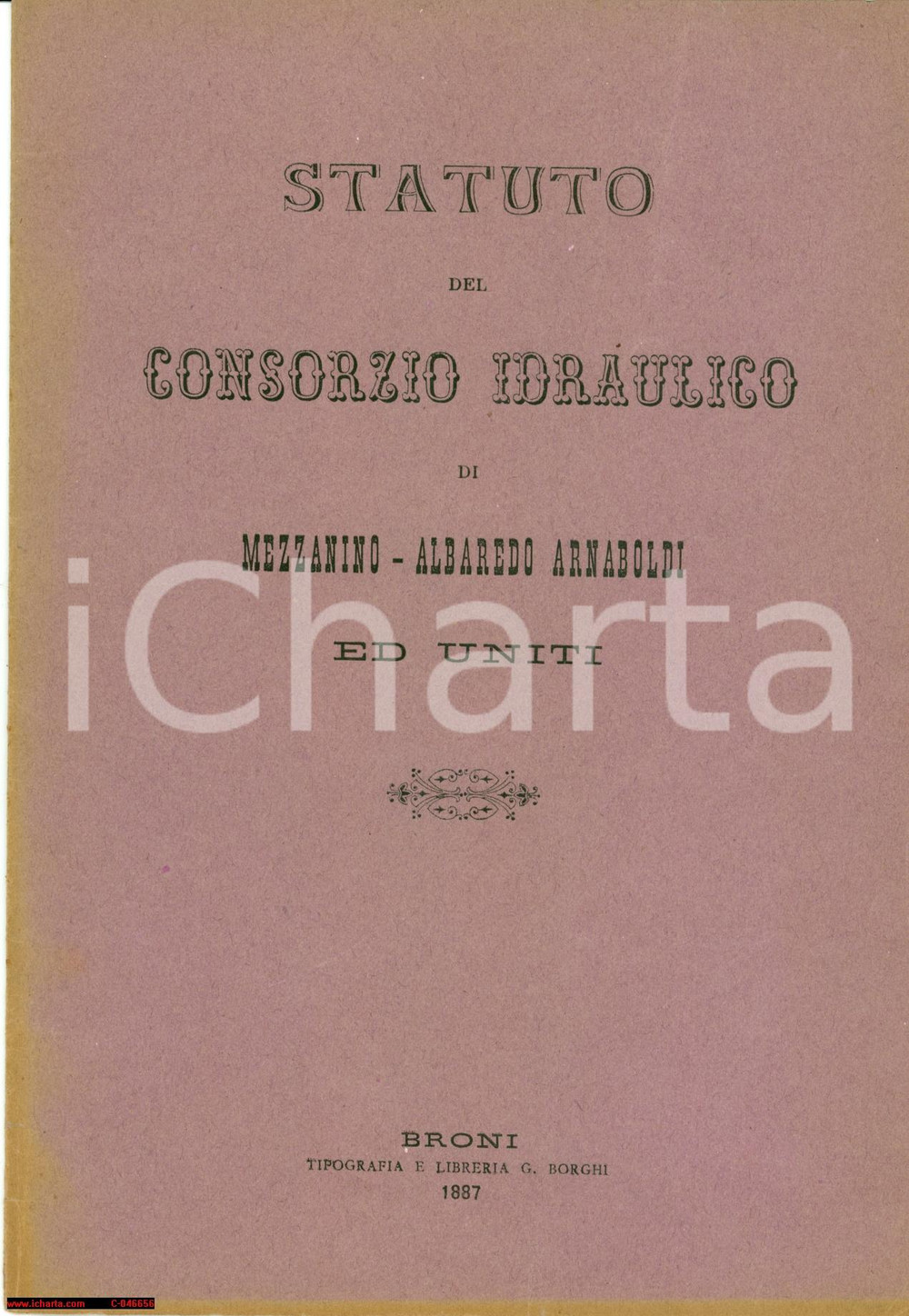 Oggetto da collezione cartaceo 1887 MEZZANINO PV Statuto consorzio idraulico ALBAREDO 1