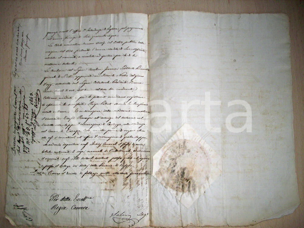 Documento originale, autentico 1843 TORRAZZA COSTE (PV) Nomina notaio Teofilo RACCAGNI 1