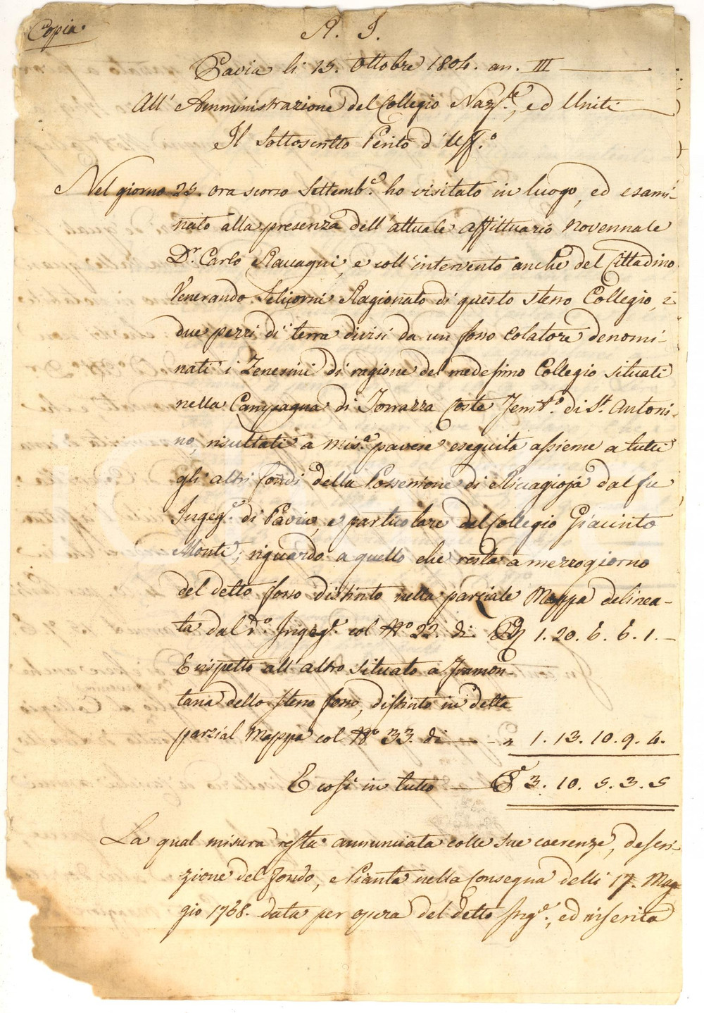 Documento originale, autentico 1804 TORRAZZA COSTE (PV) Perizia di Lodovico RICHIERI 1
