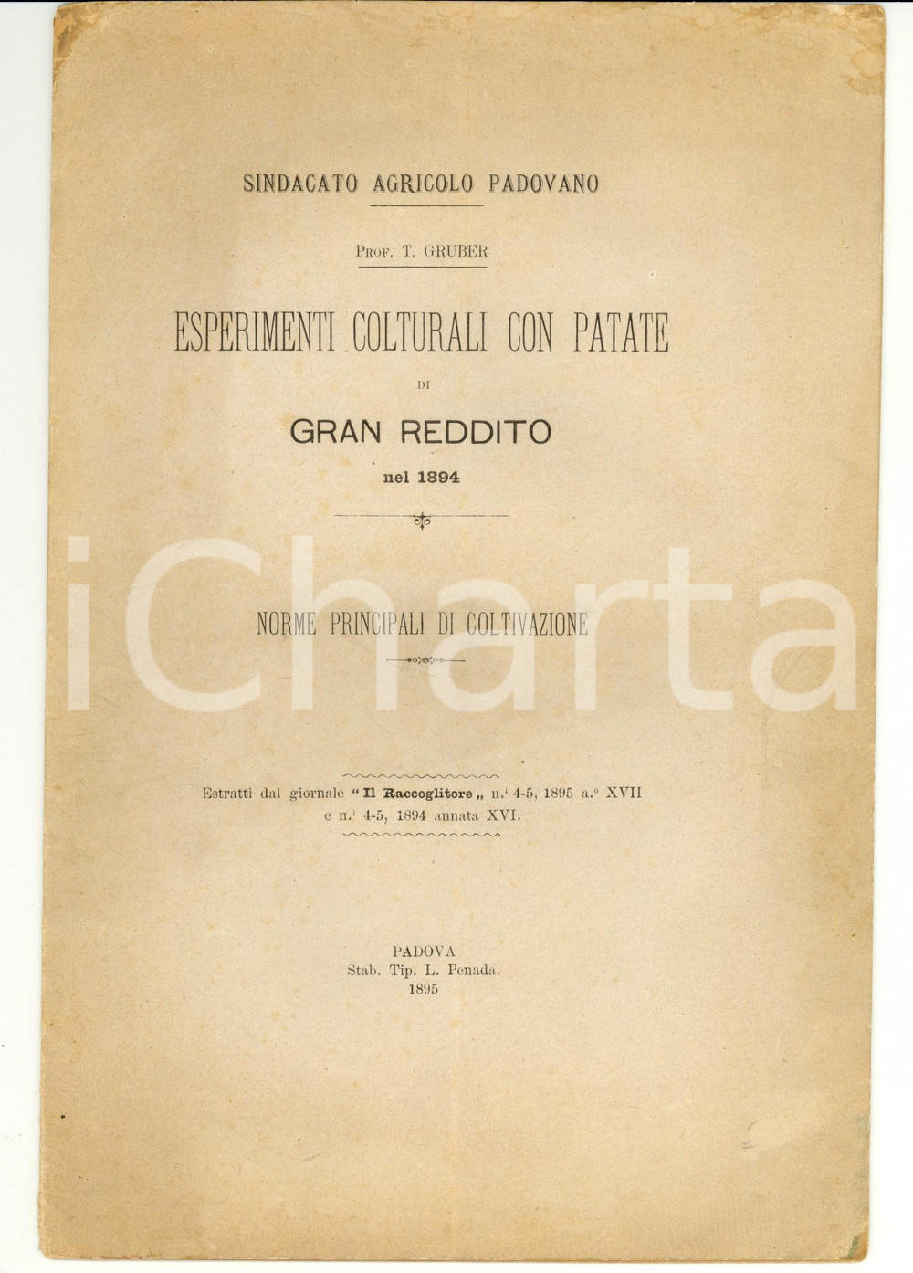 Libro, pubblicazione d epoca 1895 PADOVA Prof. T. GRUBER Esperimenti colturali con patate di gran reddito 1
