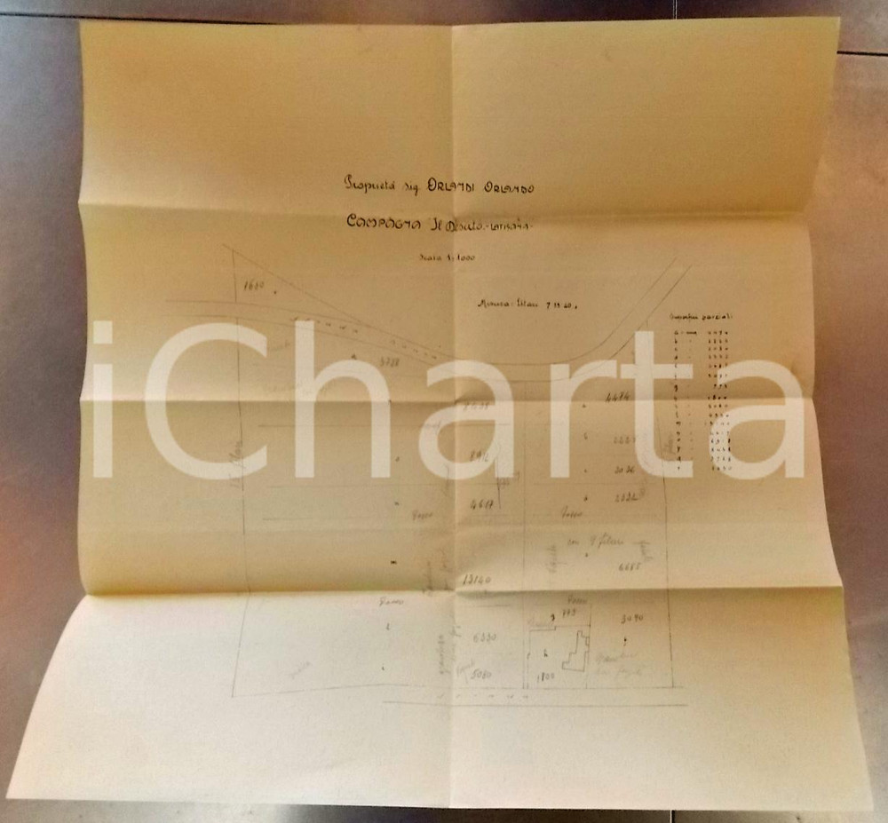 Mappa, planimetria storica 1920 ca LATISANA (UD) Campagna IL DESERTO di Orlando ORLANDI *Planimetria 1