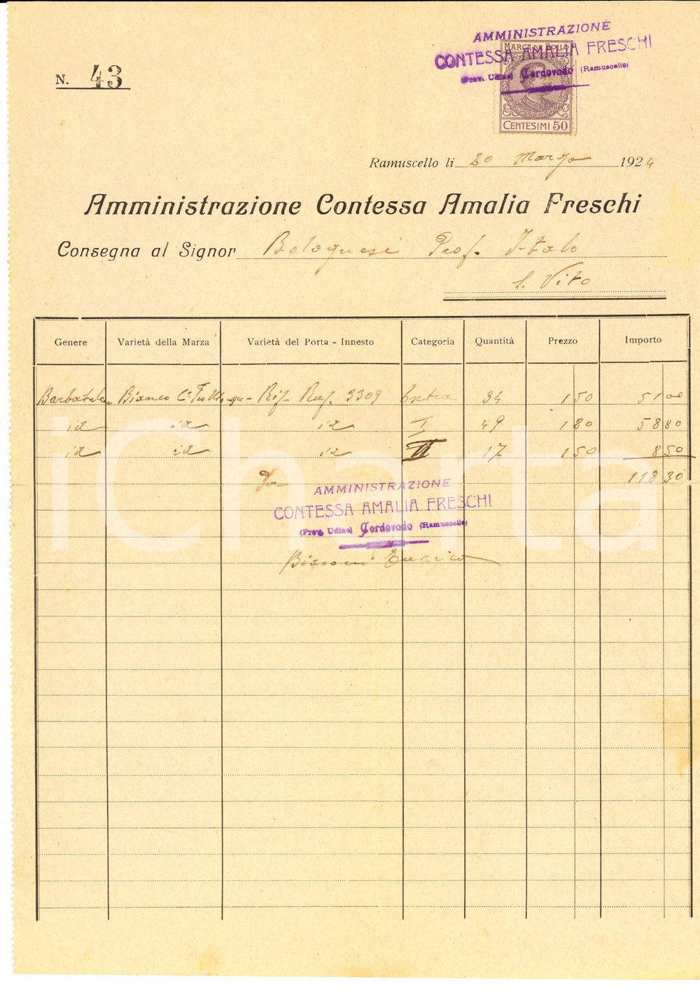 Documento originale, autentico 1924 RAMUSCELLO PN Amministrazione contessa Amalia FRESCHI Consegna barbabietole 1