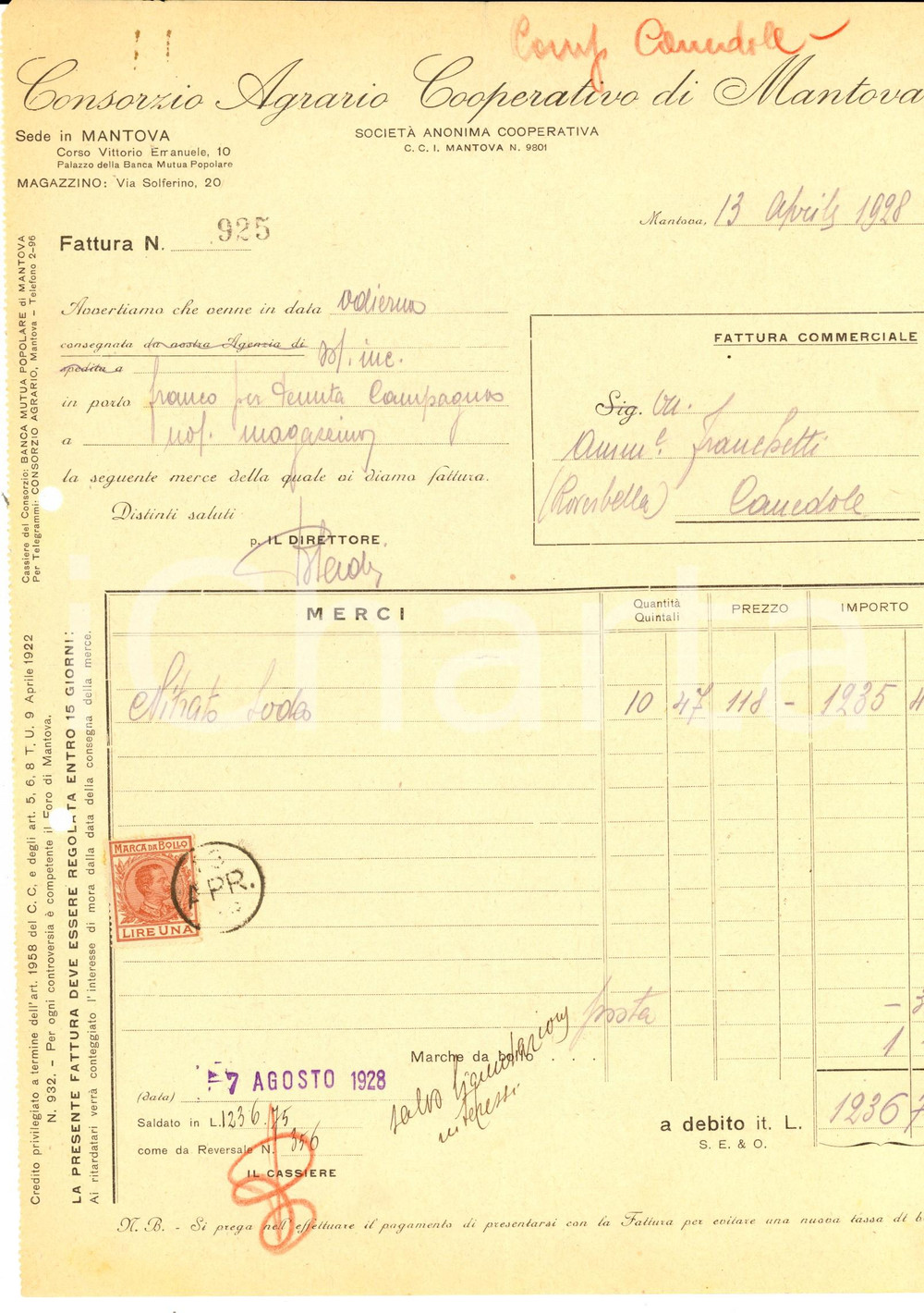 Documento originale, autentico 1928 MANTOVA Consorzio Agrario Cooperativo *Fattura intestata con bolli 1