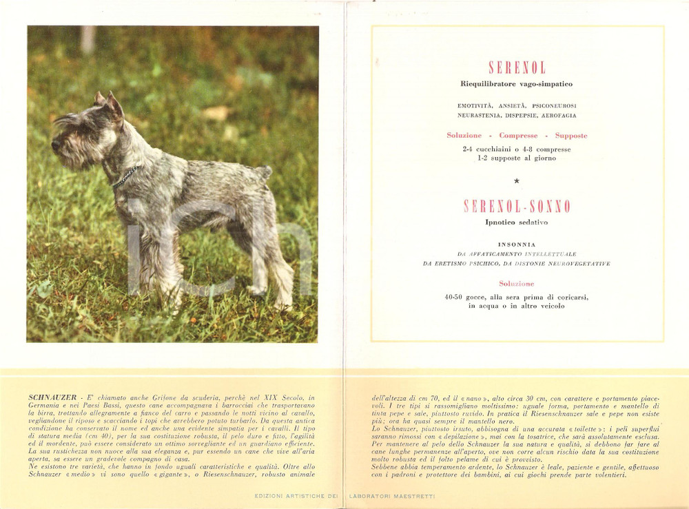 Materiale pubblicitario d’epoca 1956 MILANO Laboratori MAESTRETTI Serenol  Scheda Razza SCHNAUZER 1