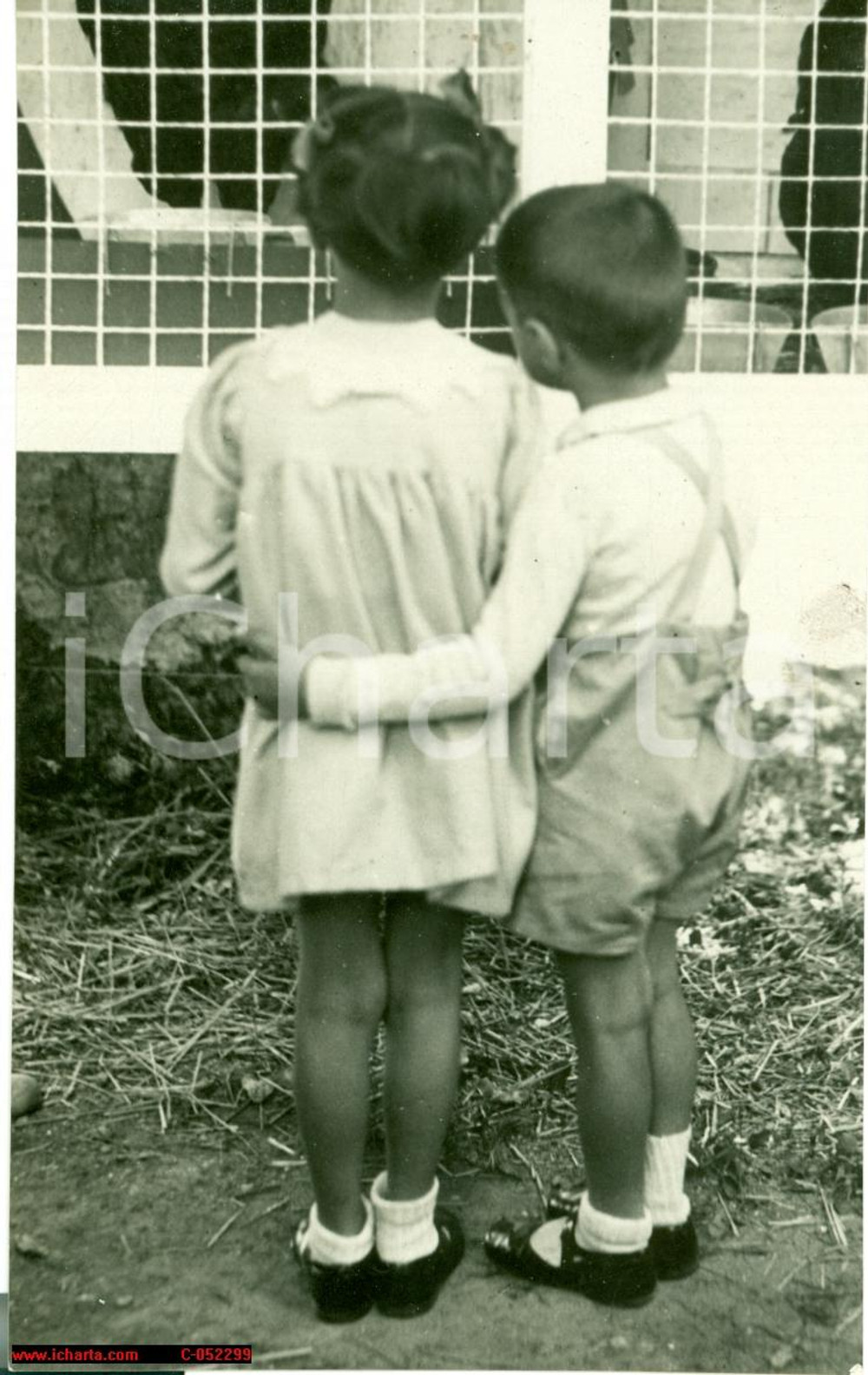 Fotografia d'epoca originale 1936 MILANO Bambini all'allevamento dei POLLI foto 1