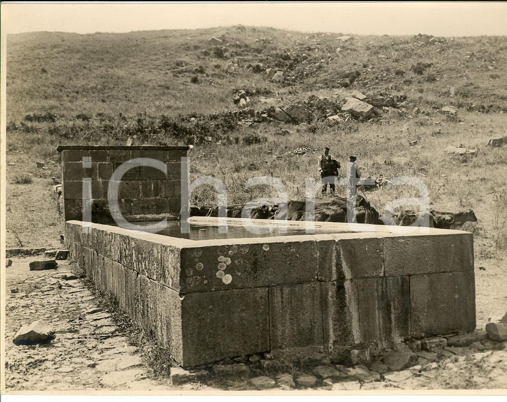 Fotografia d'epoca originale 1930 ca CARONIA ME Pastori e mandrie all'abbeveratorio 1