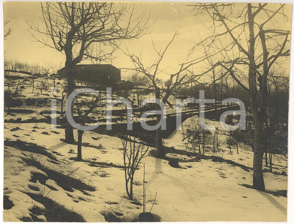Fotografia d'epoca originale 1934 AREA DI CATANIA Veduta della campagna dopo nevicata *Foto A. ARCIDIACONO 1