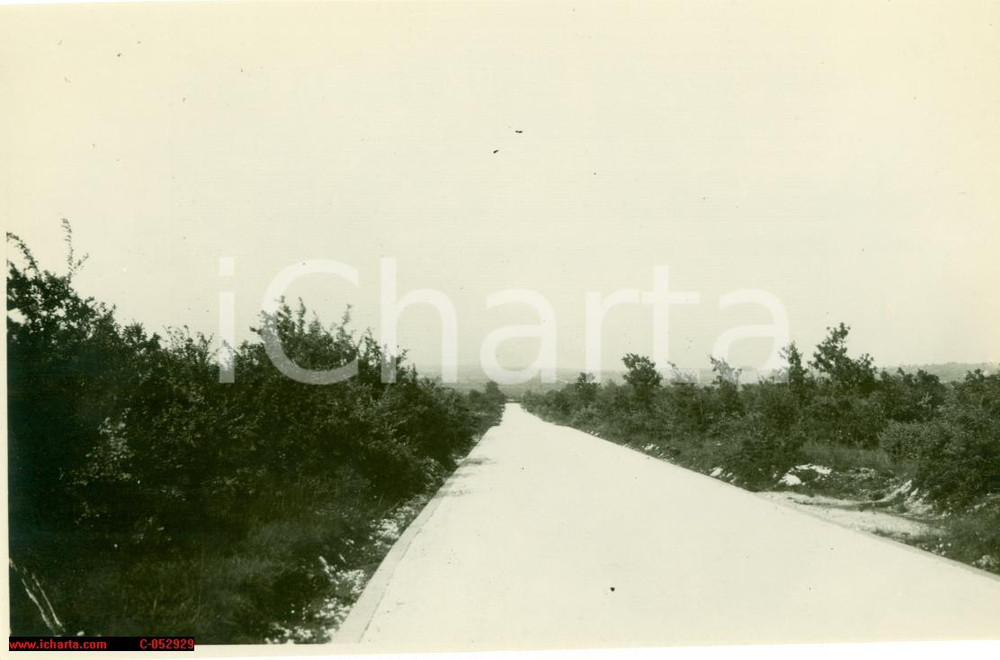 Fotografia d epoca originale 1930 MARZANA CROAZIA Strada collegamento POLAFIUME  Foto 1 1