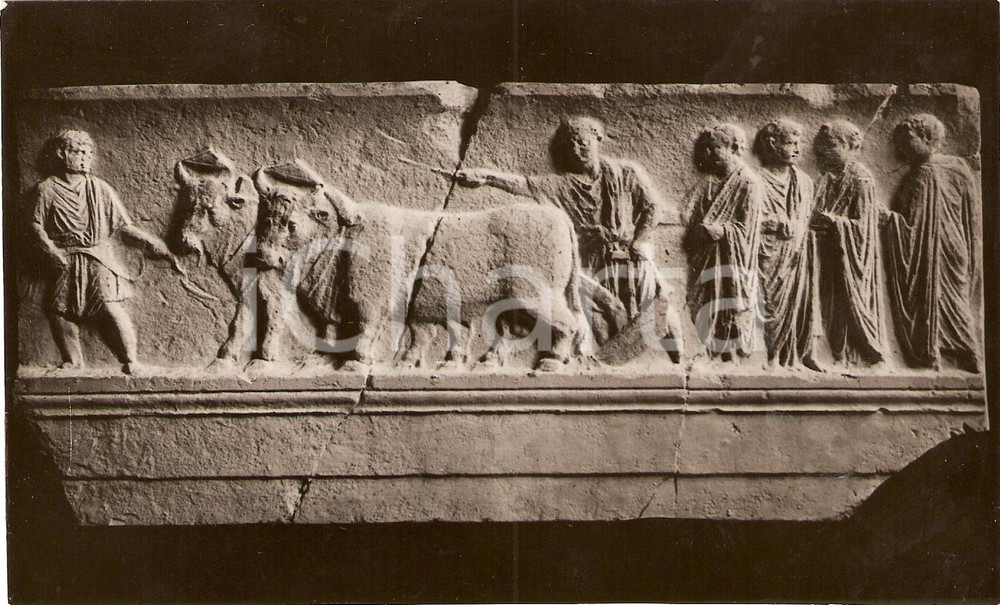 Fotografia d'epoca originale 1934 AQUILEIA Buoi e magistrati cittadini fondano la cittÃ  Bassorilievo FOTO 1