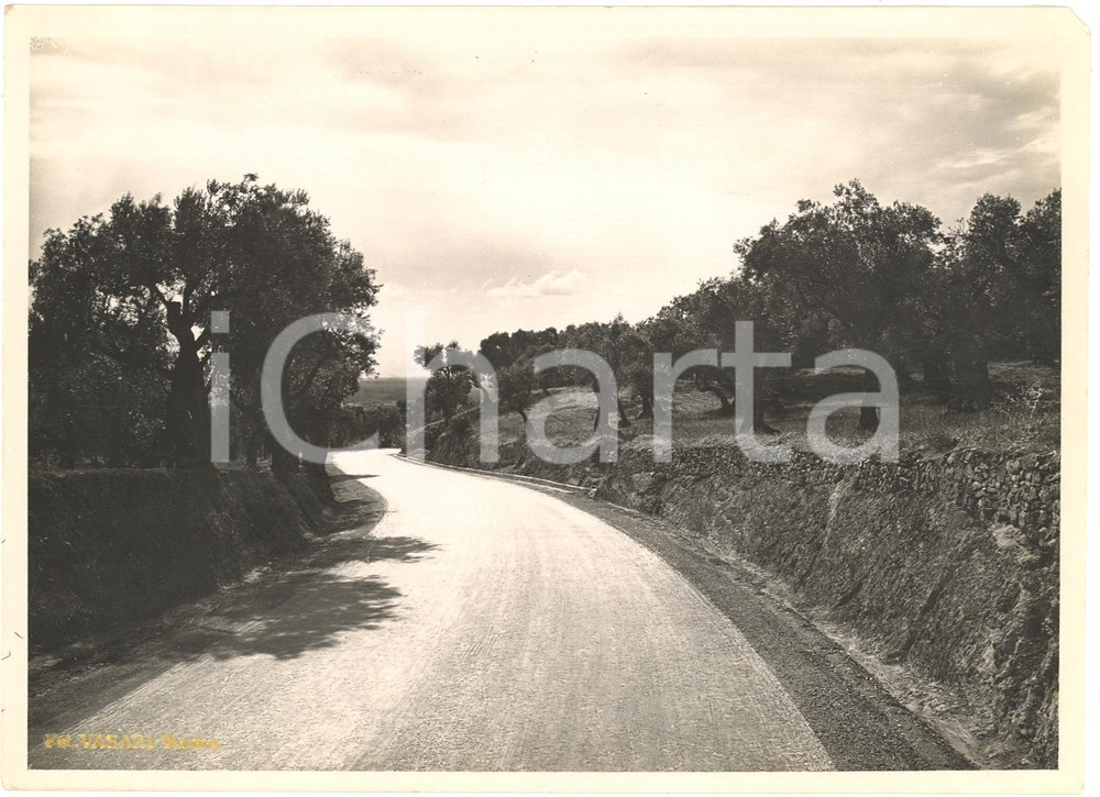 Fotografia d'epoca originale 1935 circa VICOVARO (RM) Via TIBURTINA Tronco da Roma ^Foto 1