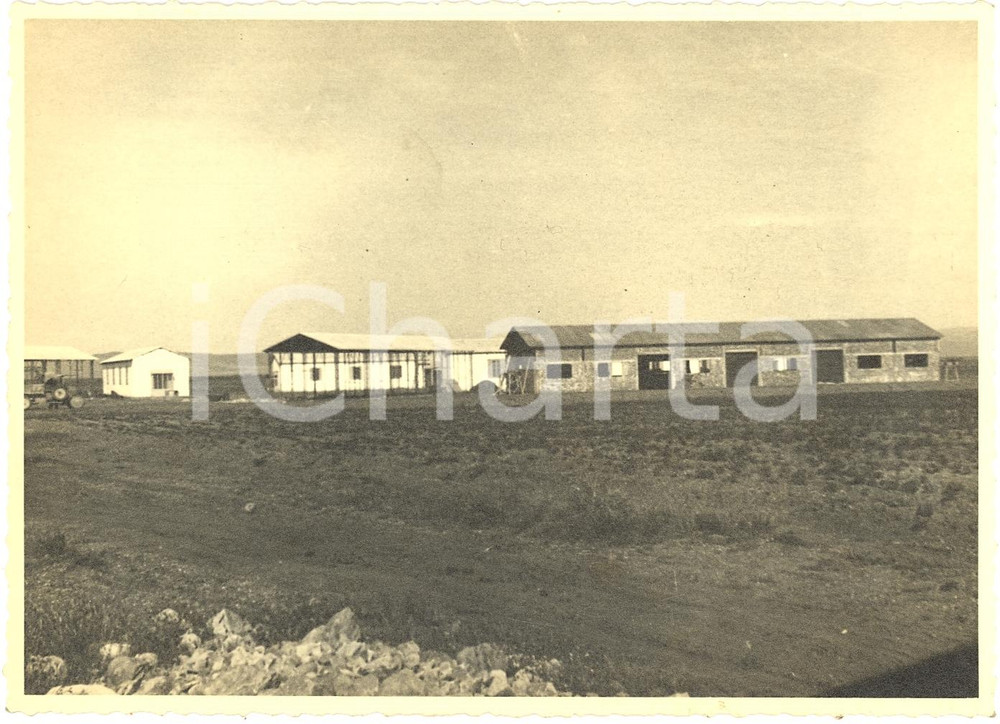 Fotografia d'epoca originale 1930 ca SIBARI (CS) Bonifica della piana Magazzini e garage *Fotografia 1