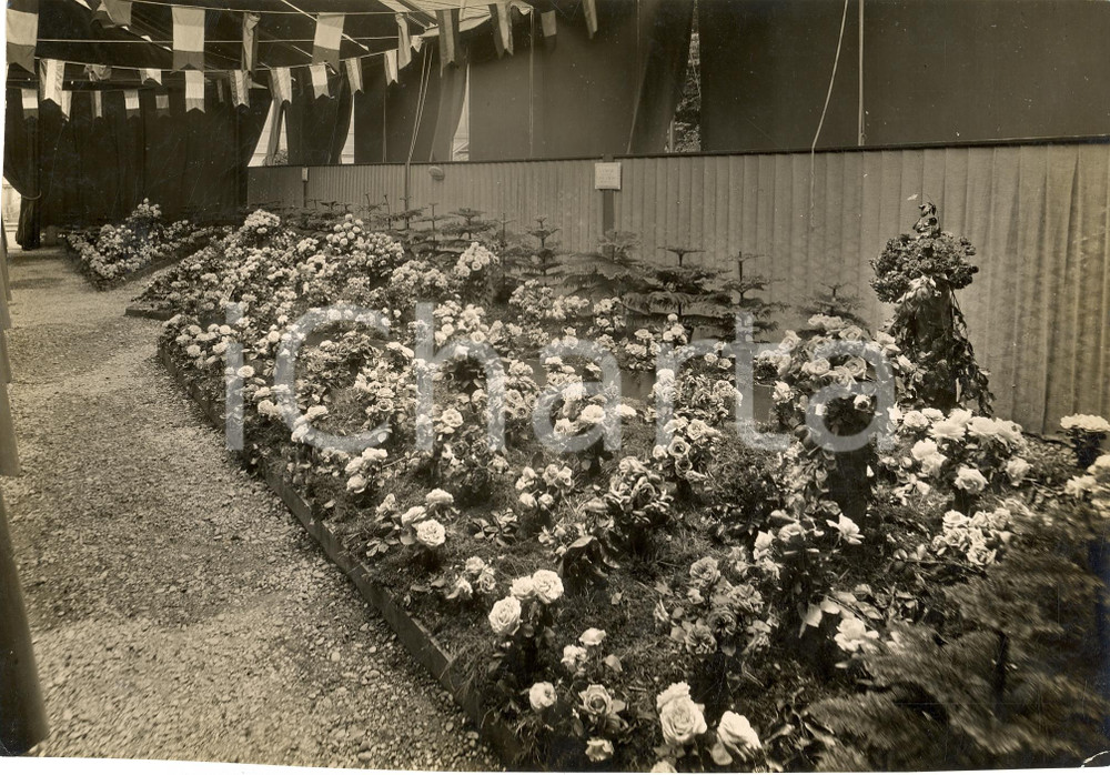 Fotografia d'epoca originale 1930 MONZA (MB) La mostra delle rose a VILLA REALE foto 1