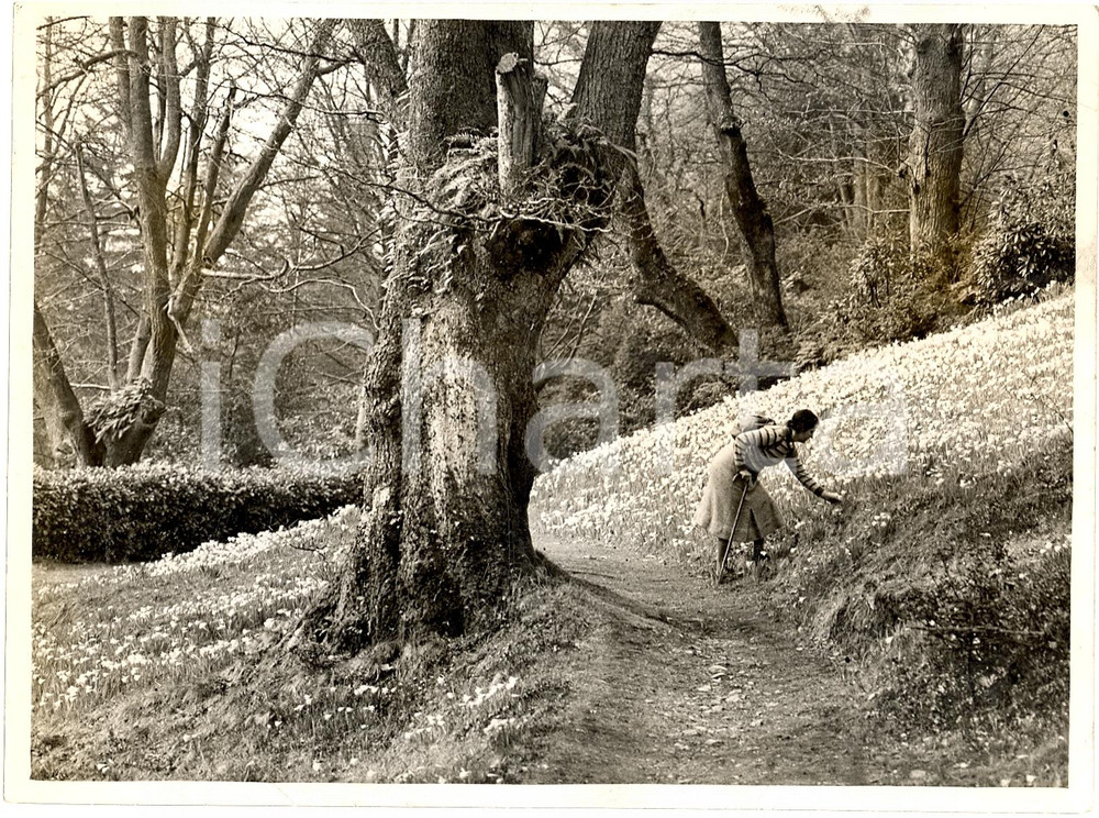 Fotografia d'epoca originale 1939 RYDAL UK Easter in the Lake District Photo ANIMATA 1