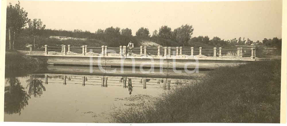 Fotografia d'epoca originale 1930 circa CAVARZERE (VE) Ponte in cemento Foto ANIMATA 1