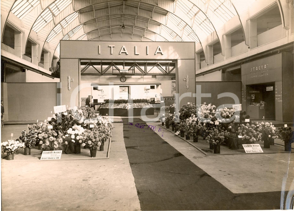Fotografia d'epoca originale 1931 KOLN (DE)? Padiglione ITALIA a Mostra floricoltura 1