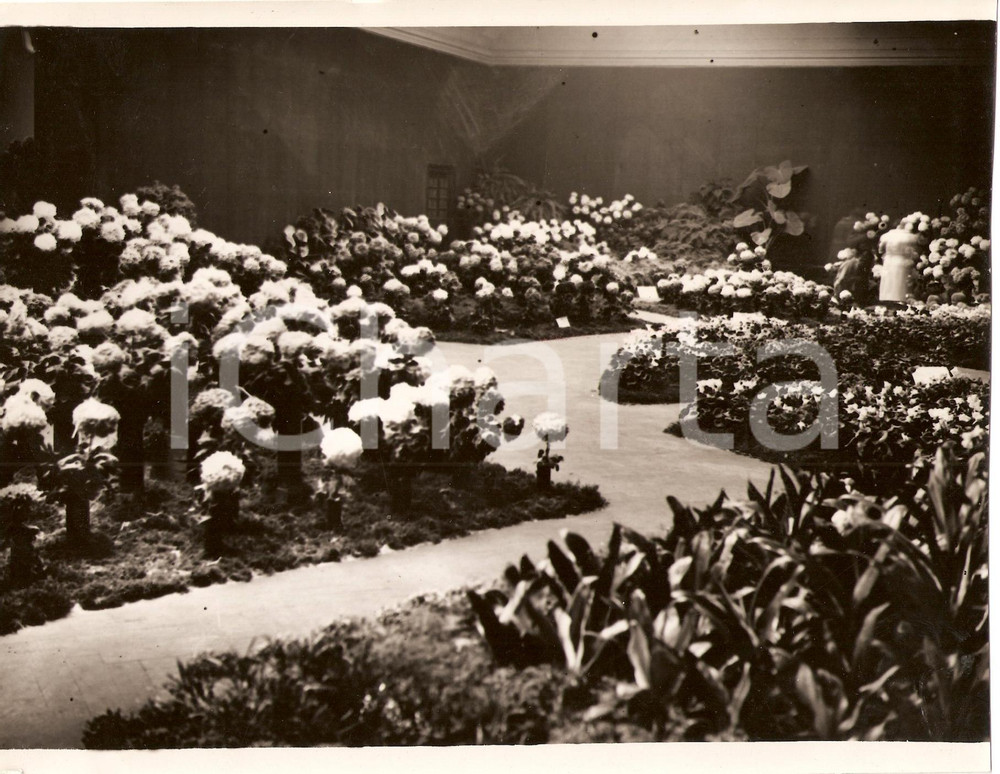 Fotografia d'epoca originale 1933 MILANO Inaugurazione mostra Fiori alla PERMANENTE 1