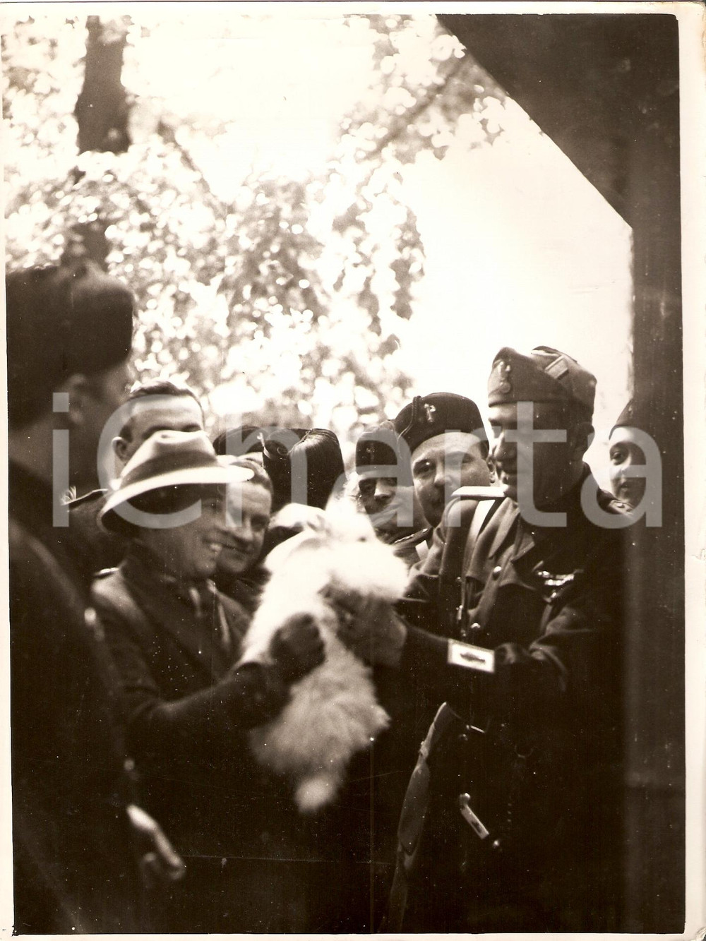 Fotografia d'epoca originale 1938 MILANO mostra animali, Rino Parenti con coniglio 1