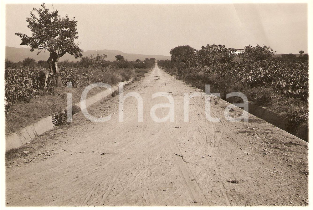 Fotografia d'epoca originale 1934 SANT'EUFEMIA LAMEZIA (CZ) La strada per NICASTRO 1