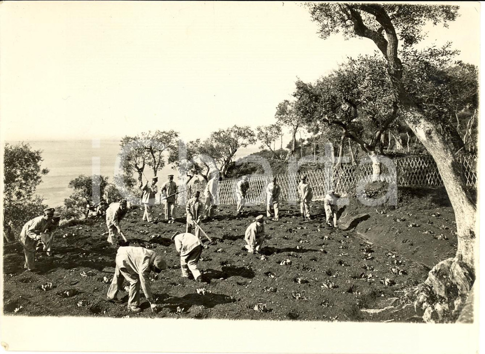 Fotografia d'epoca originale 1937 NISIDA (NA) Lavoro detenuti Riformatorio nei campi 1