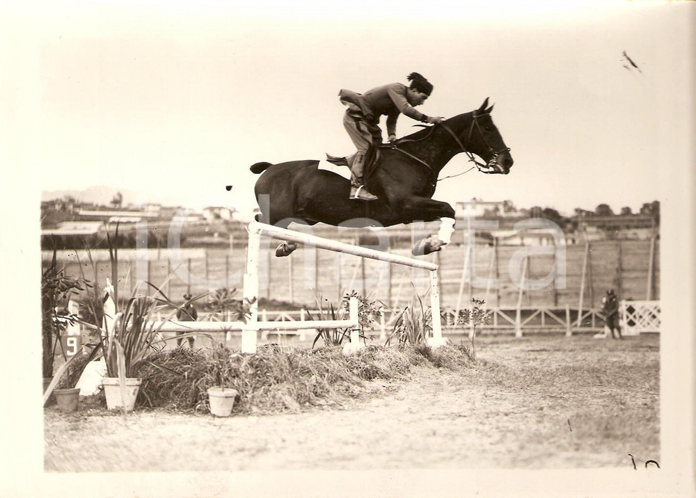 Fotografia d'epoca originale 1934 SANREMO Salto Gastone GALANTI con cavallo TOPSIN 1