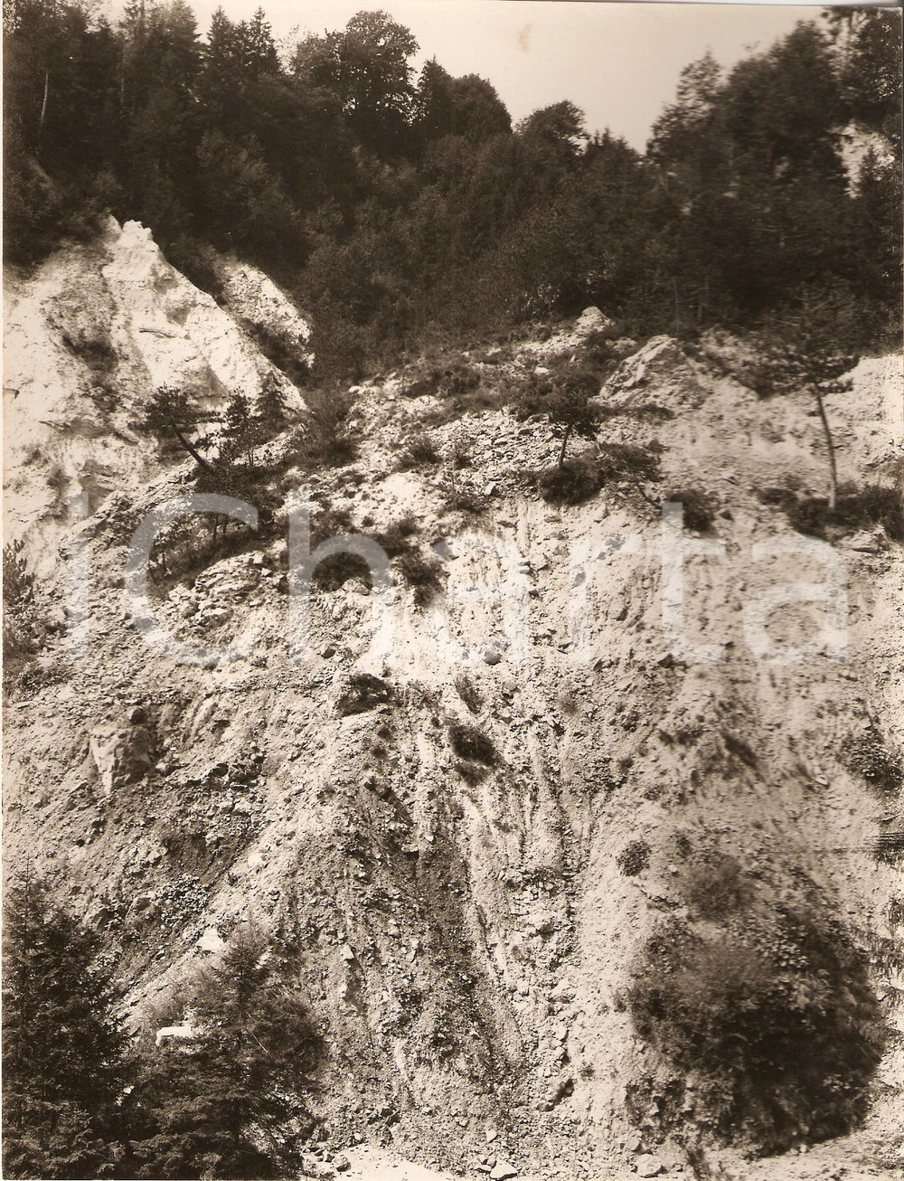 Fotografia d'epoca originale 1933 SAN MICHELE AL TAGLIAMENTO Frana prima di bonifica 1