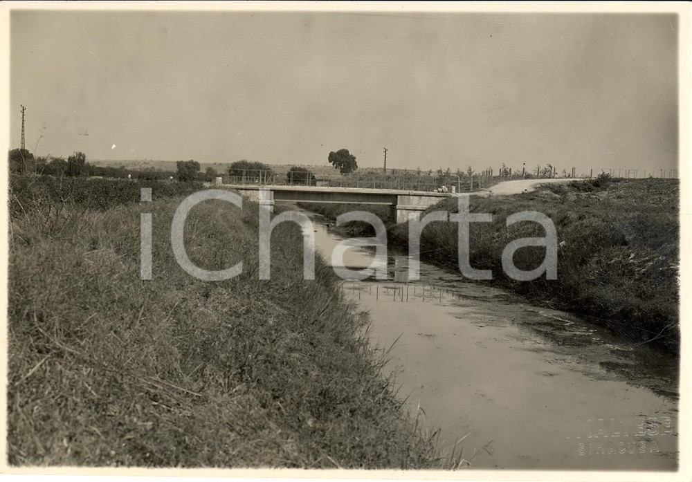 Fotografia d epoca originale 1935 circa SIRACUSA Bonifica paludi Lisimelie canale FONTANA MORTILLA Foto 1