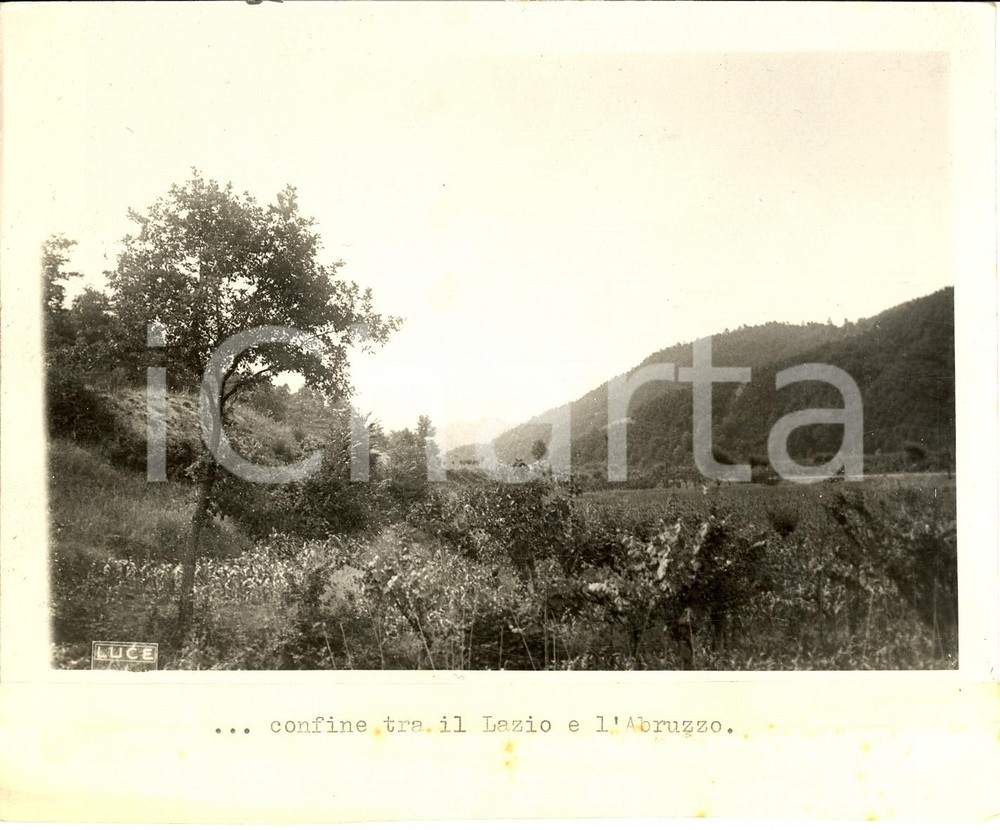 Fotografia d epoca originale 1930 ca LAZIO Le foreste al confine tra LAZIO e ABRUZZO Fotografia 1