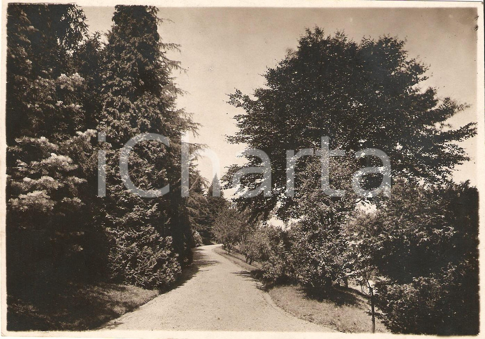 Fotografia d'epoca originale 1930 circa MAGNANO (BI) Viale Villa BARAGIOLA Vera FOTO 1