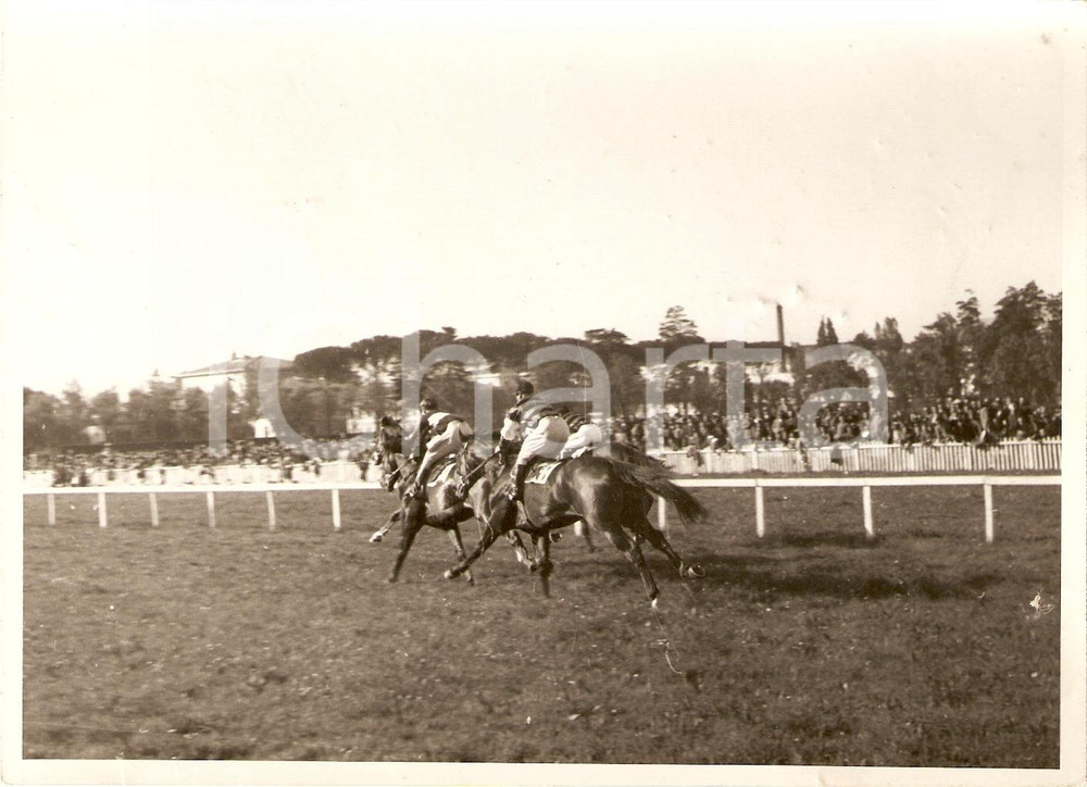 Fotografia d'epoca originale 1942 PREMIO FIRENZE Ippodromo CASCINE Vae Victis conduce il gruppo *Foto IPPICA 1