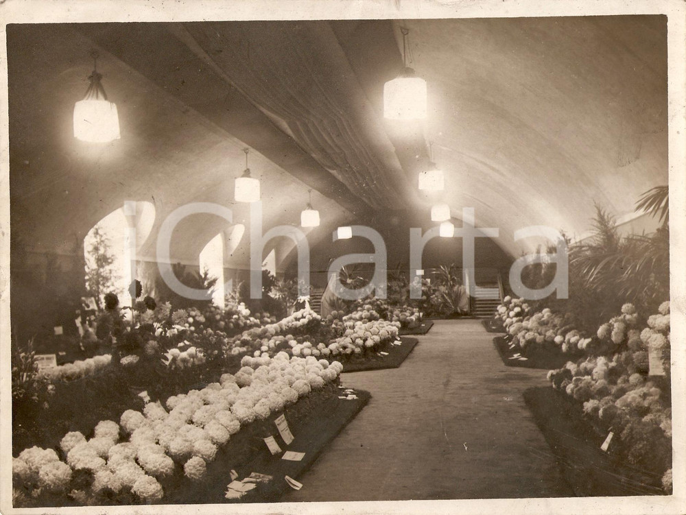 Fotografia d epoca originale 1929 MILANO Mostra del Crisantemo al Castello Sforzesco  Foto 3 1