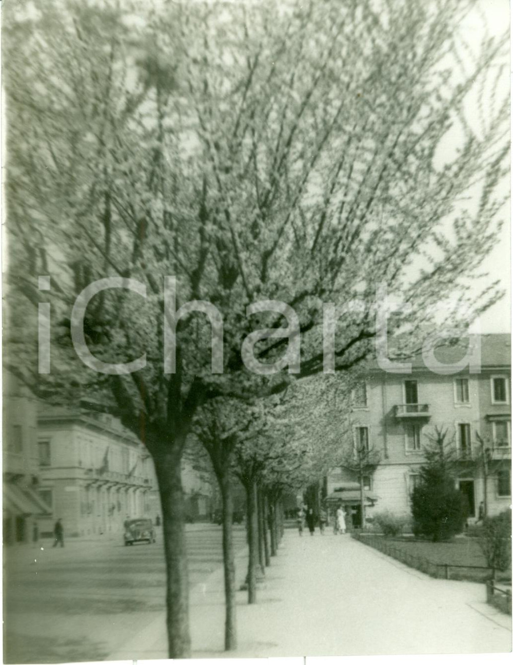 Fotografia d'epoca originale 1938 MILANO Primavera precoce in piazza ASPROMONTE *Fotografia 1