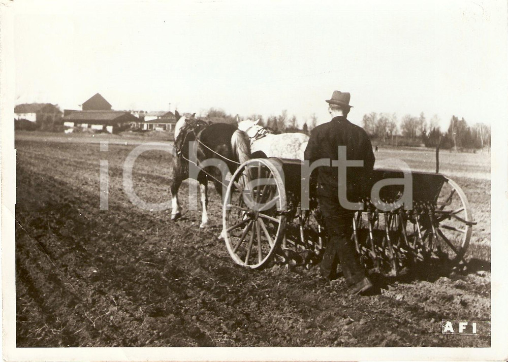 Fotografia d'epoca originale 1942 CARELIA WW2 Semina con aratro dopo la riconquista *Fotografia 1