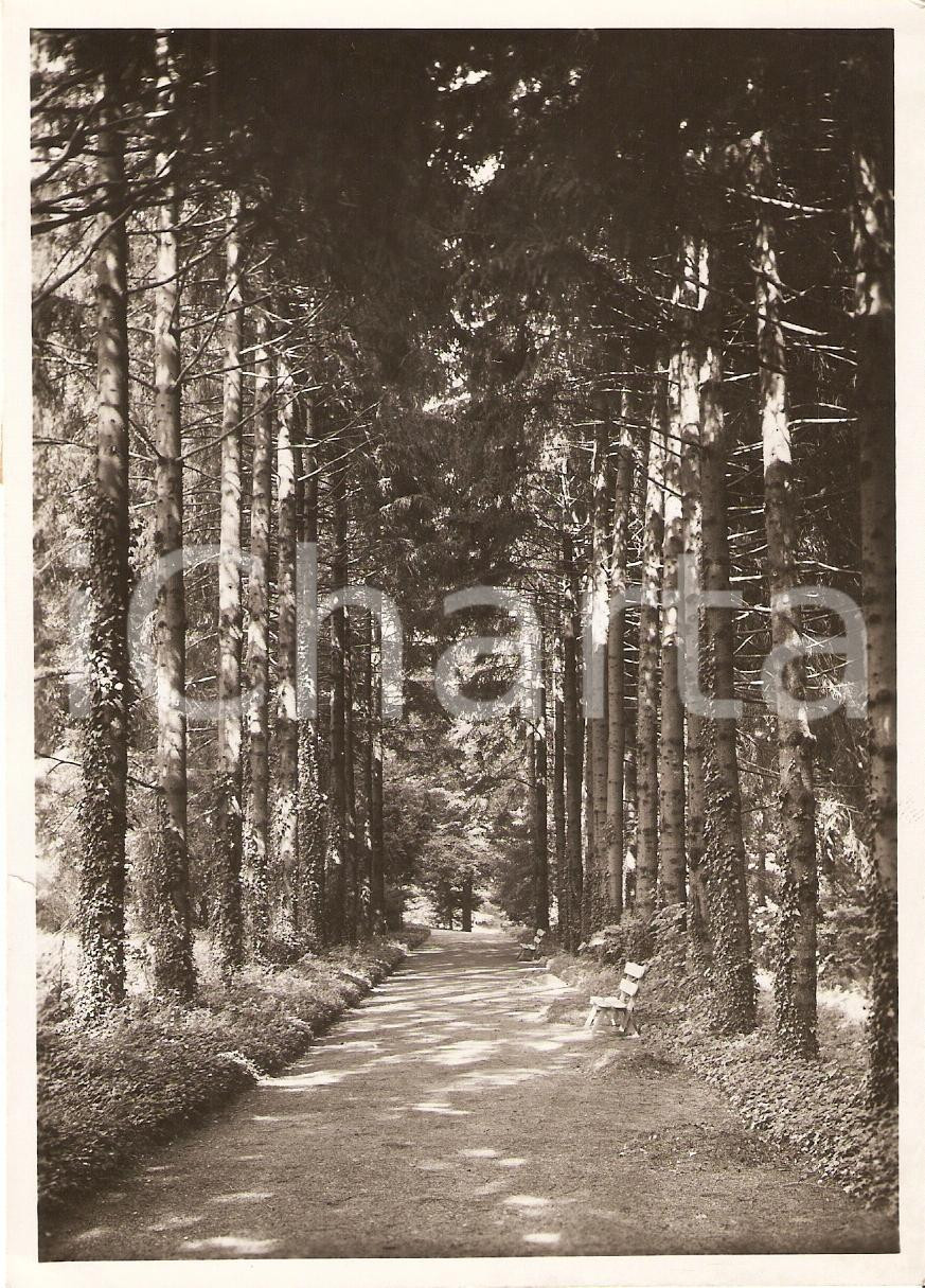 Fotografia d epoca originale 1939 RONCEGNO TERME TN Il parco delle Terme Foto PEZZINI 1