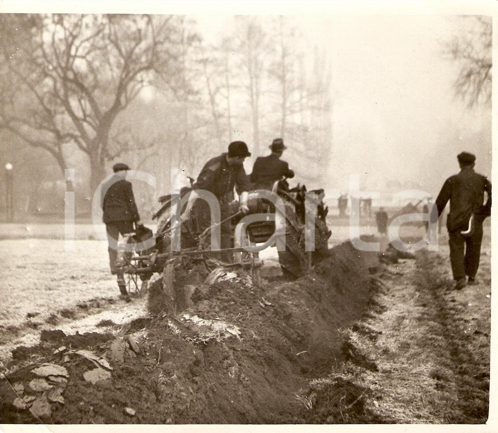 Fotografia d'epoca originale 1941 MILANO WW2 Coltivazione patate al parco SEMPIONE *Fotografia 1